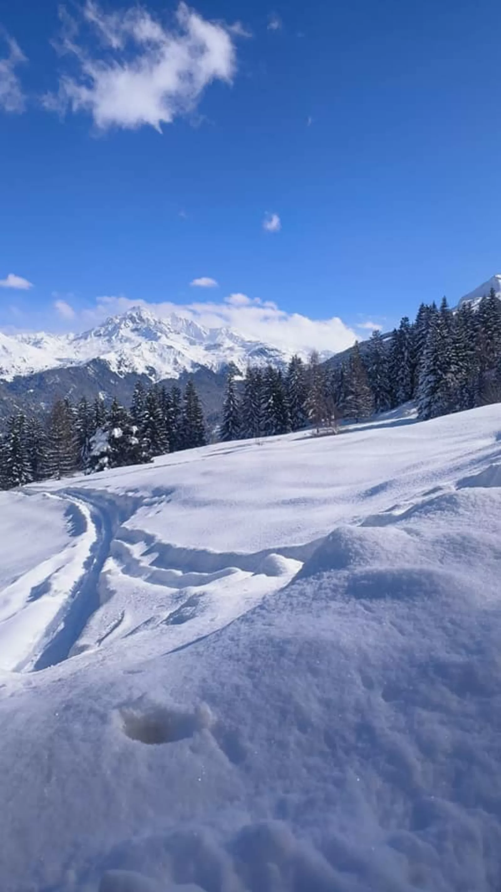 Uscite sulla neve – foto 15