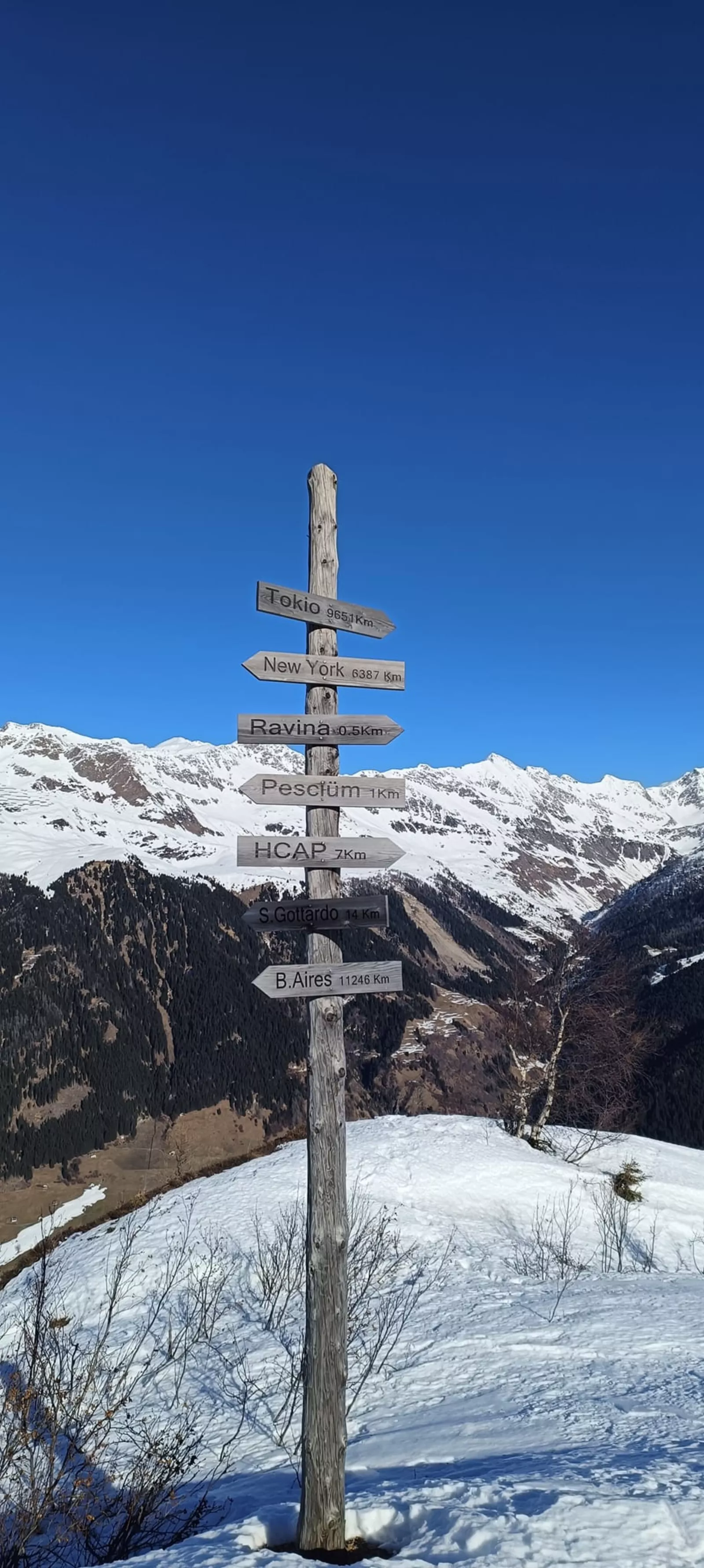 Uscite sulla neve – foto 4
